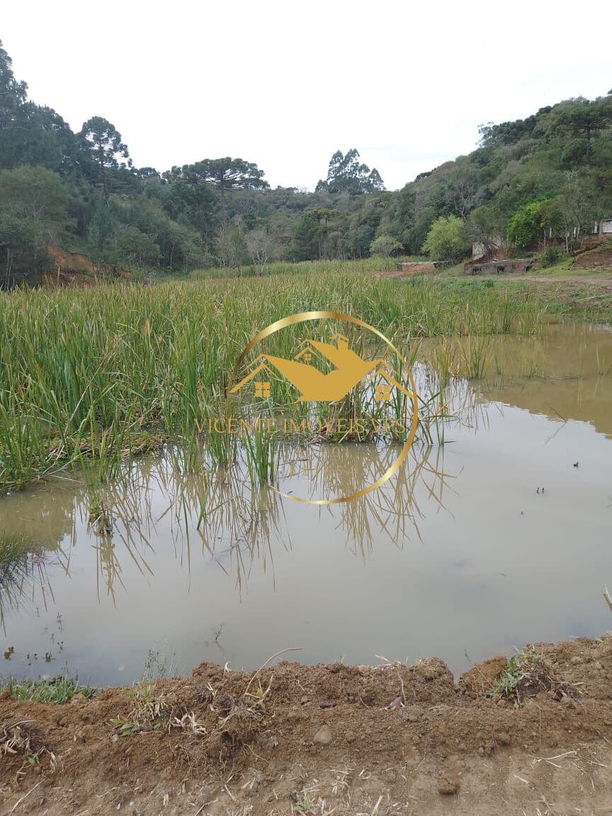 Chácara a venda em Quatro Barras, Pr.