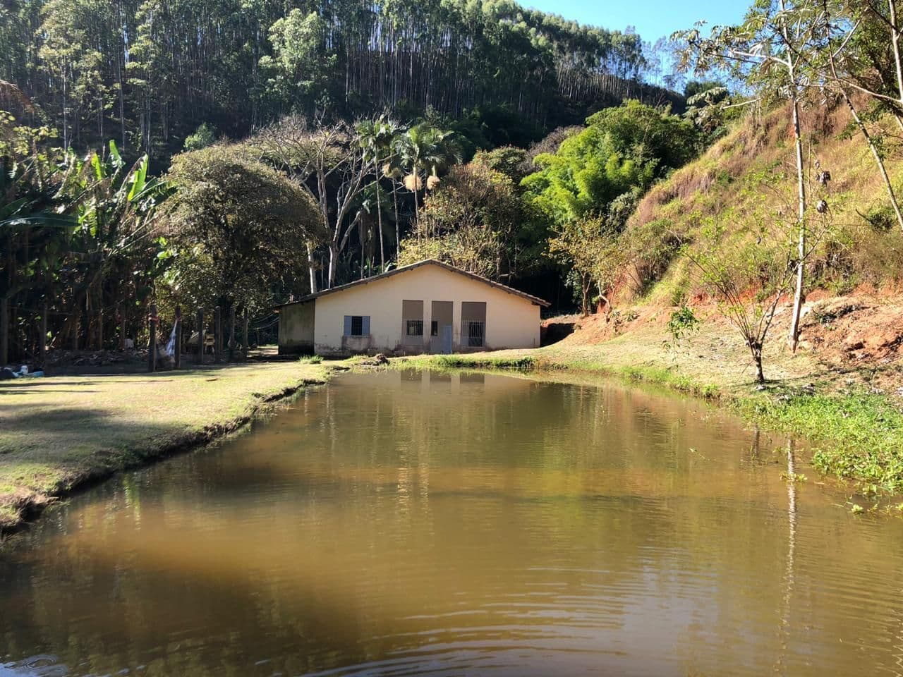 Fazenda à venda em Roseira/SP