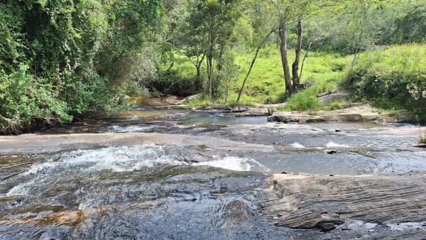 Sítio à venda em Estância Climática de Cunha/SP