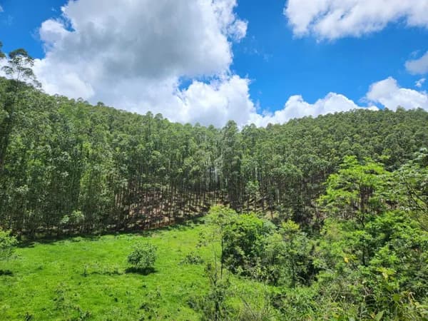 Fazenda à venda em SilveirasSP