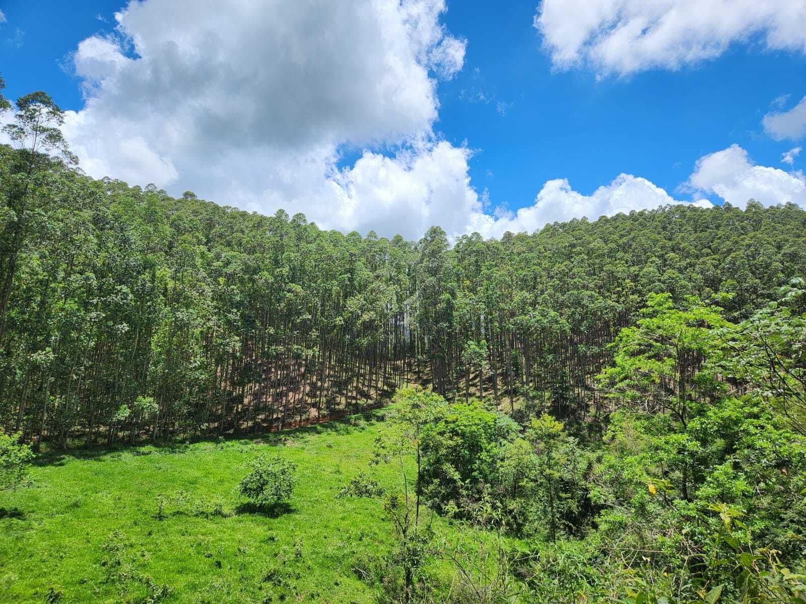Fazenda à venda em SilveirasSP