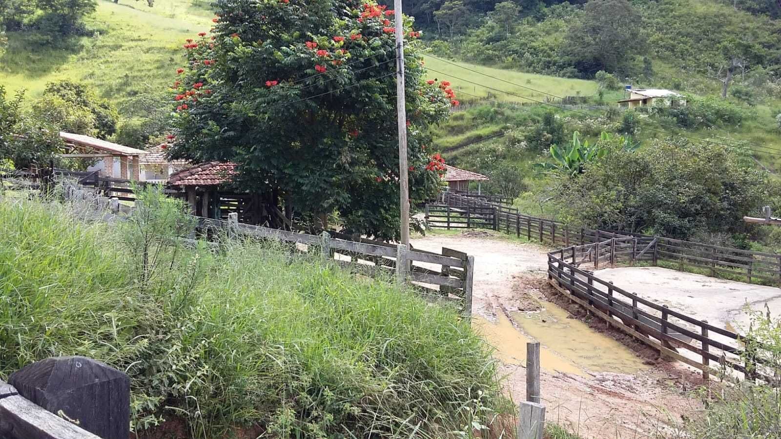 Fazenda venda em Guaratingueta/SP