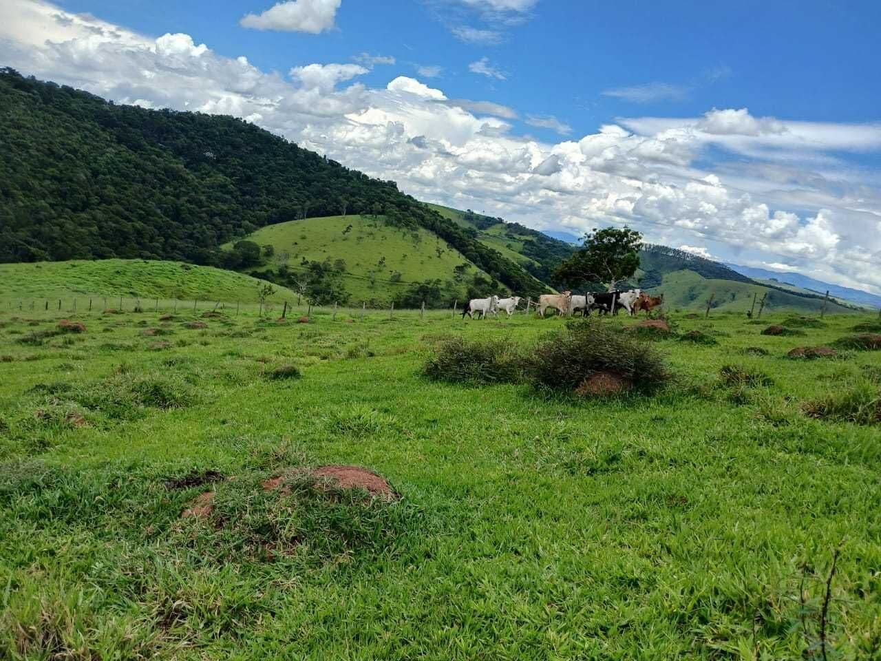 Fazenda à venda em Lagoinha/SP