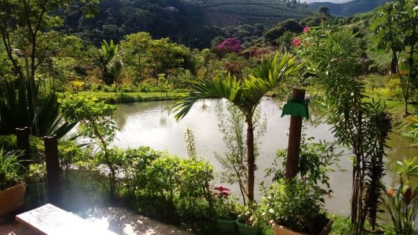 Sítio Sítio em Área Rural de Manhuaçu, Manhuaçu/MG