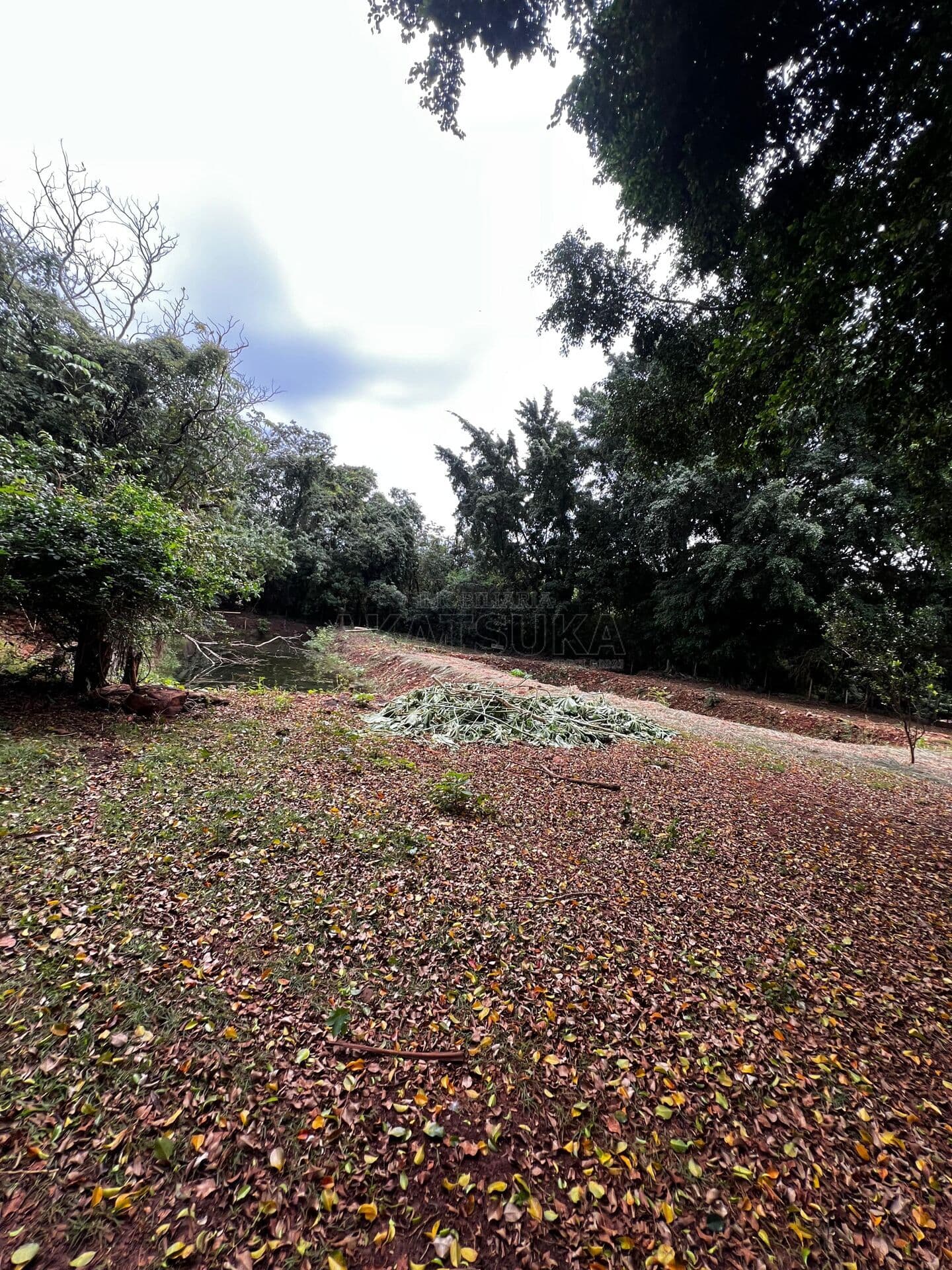Sítio em Jardim Marília