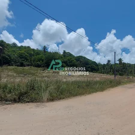 Lote/Terreno em São José da Coroa Grande - Centro