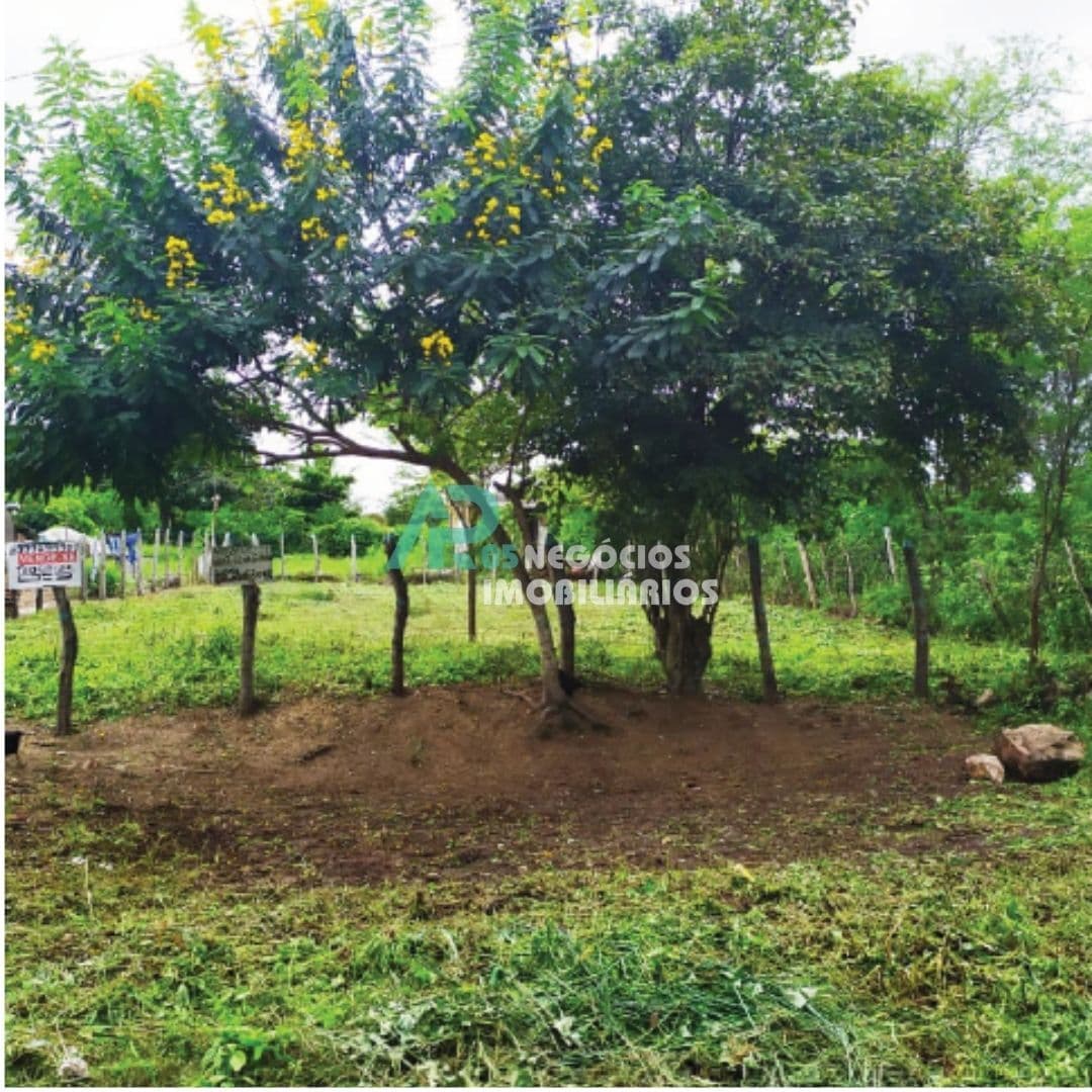 Lote/Terreno em Caruaru - Alto do Moura