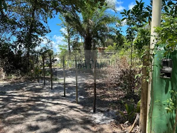 Terreno na Península de Maraú