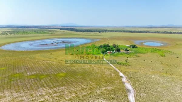 FAZENDA LOCALIZADA NA GLEBA CAUAMÉ, ALTO ALEGRE/RR.