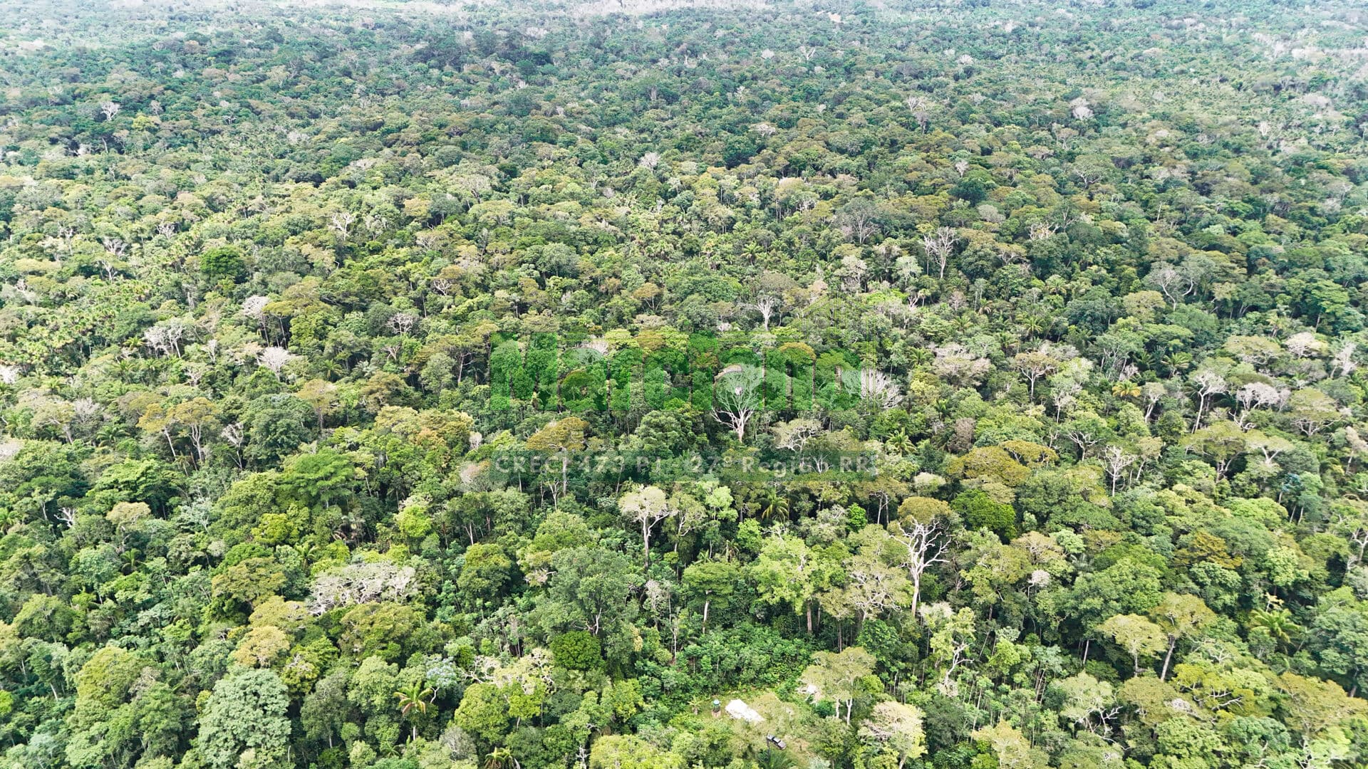 Fazenda APIAU