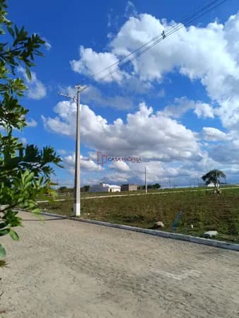 Girassol - Lote Comercial
