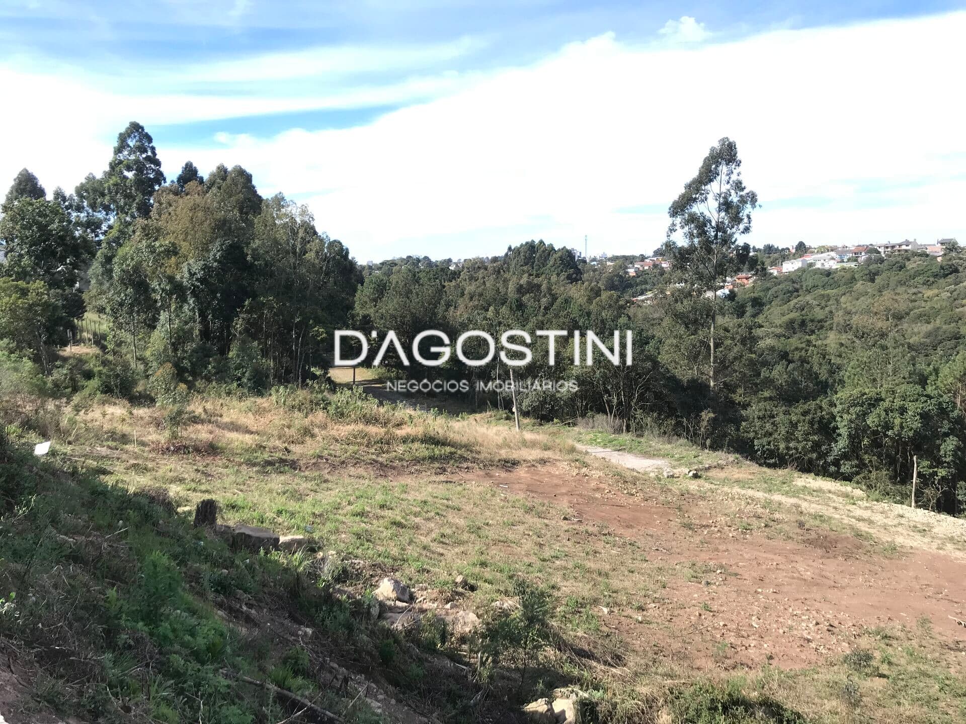 Terreno com 14.084m2