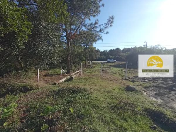 Lote/Terreno em Palhoça - Praia do Meio (Ens Brito)