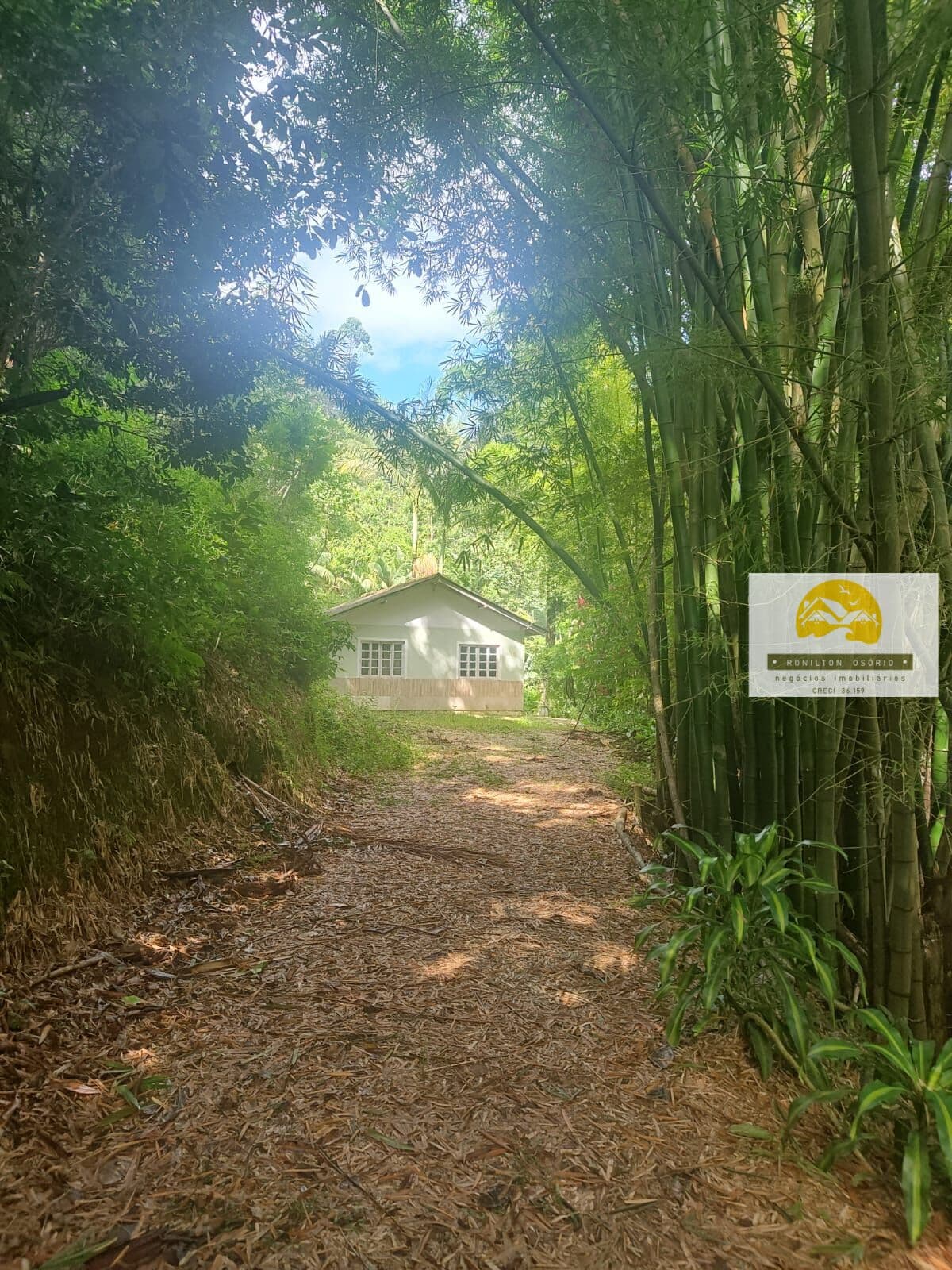 Fazenda/Sítios/Chácaras em São José - Colônia Santana