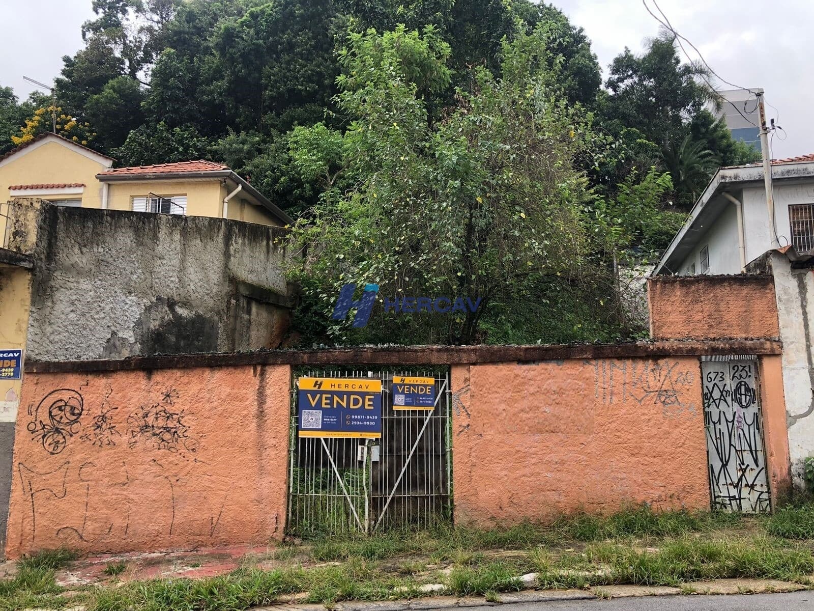 Lote/Terreno em São Paulo - Vila Gustavo