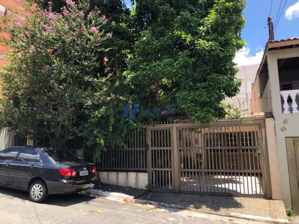 Lote/Terreno em São Paulo - Vila Gustavo