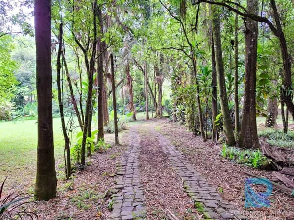 Sítio encantador com rio cristalino em Santo Antônio da Patrulha-RS