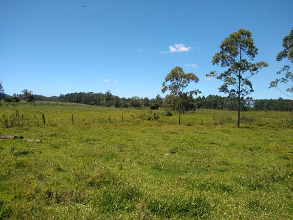 Linda área de 10 hectares em Torres-RS