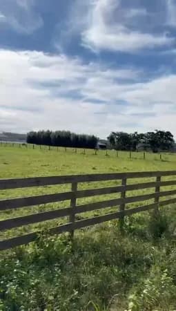 Fazenda/Sítios/Chácaras em Torres - Campo Bonito (Distrito)