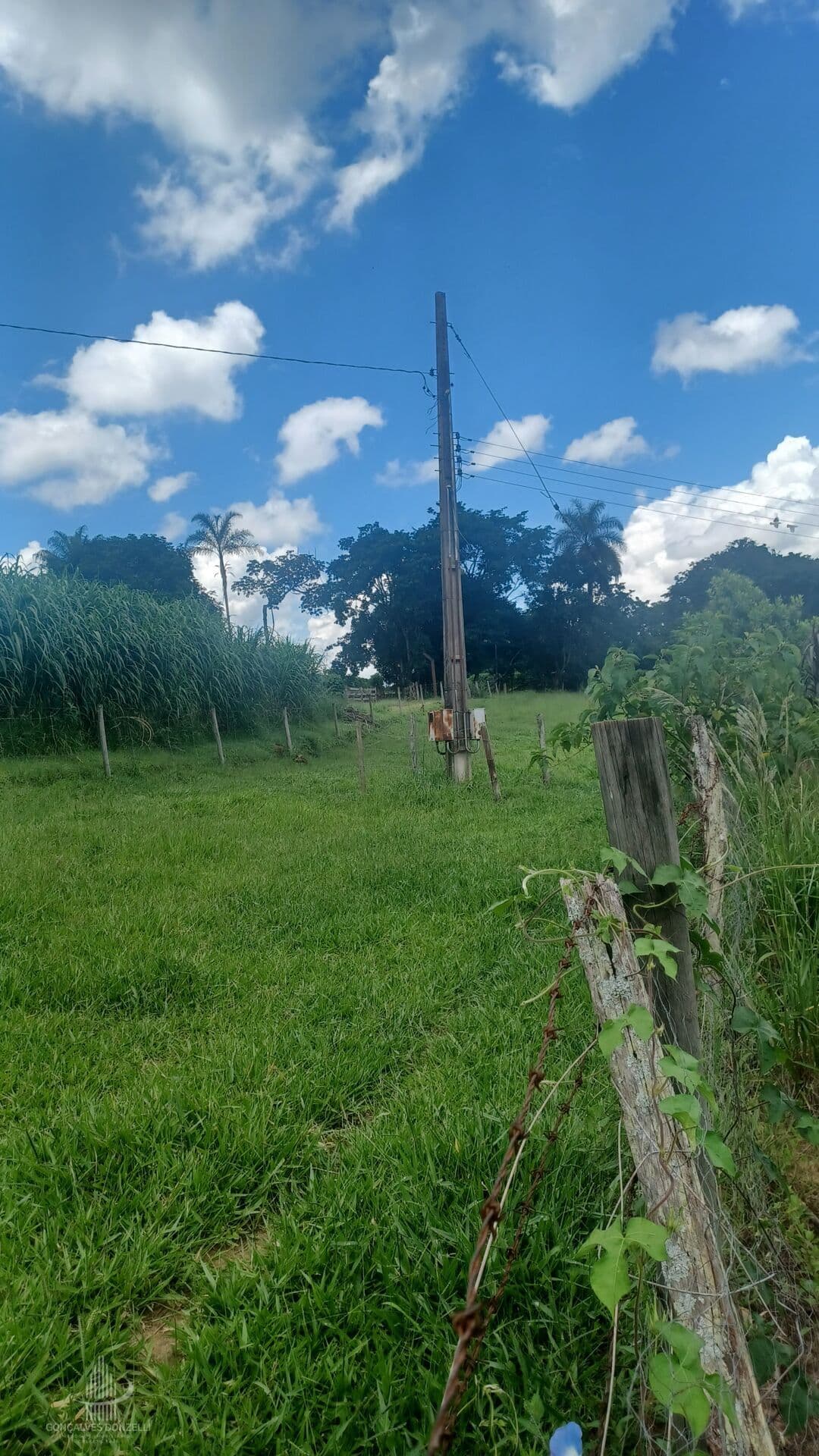 Área Rural com 24,200 m2, no Municipio de Cristais Paulista a 15 km de Franca sentido Pedregulho, em pastagem, com apenas 600m de estrada de chao, agua de mina e poço, energia trifasica.