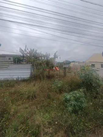 🏡 Terreno à Venda – Campina da Barra, Araucária