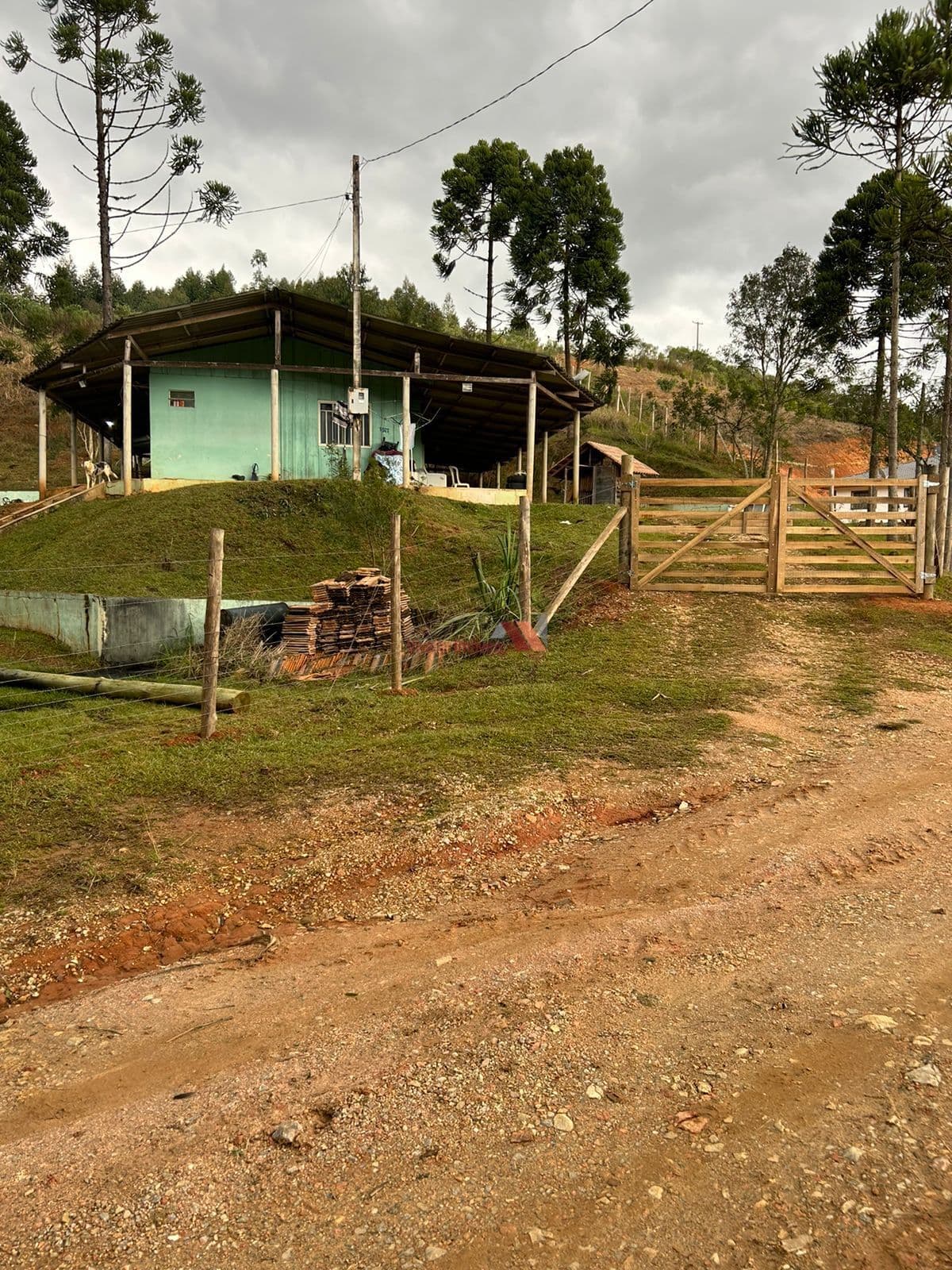 🌿✨ Chácara à venda em Contenda ✨🌿