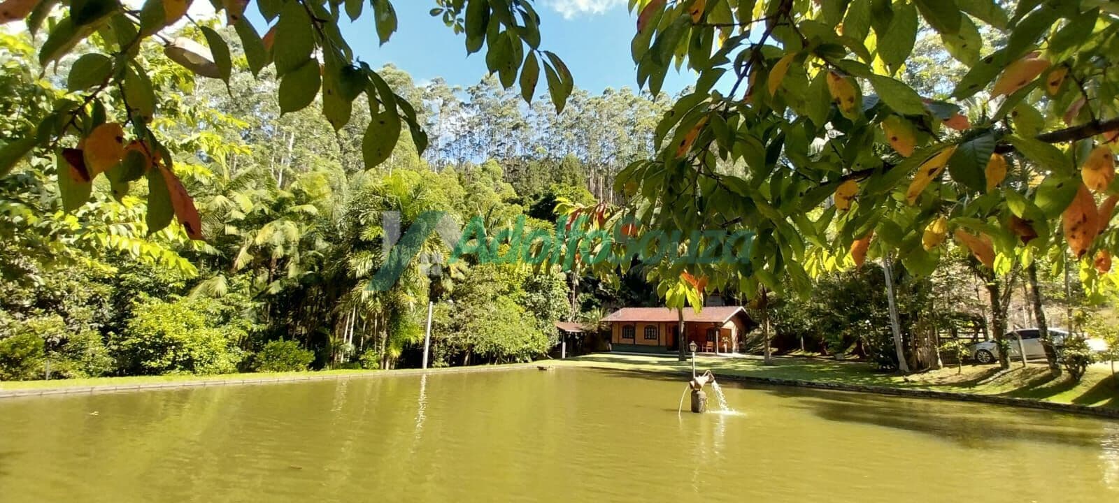 Excelente sitio