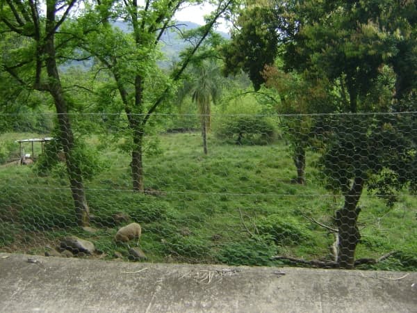 Sítio Sítio para Venda