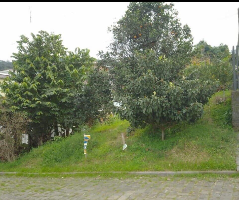 Lote/Terreno em Encantado - Porto Quinze