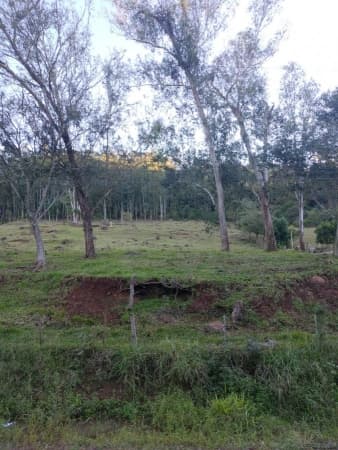 Sítio para Venda em Barra do Guaporé (Distrito) Encantado-RS
