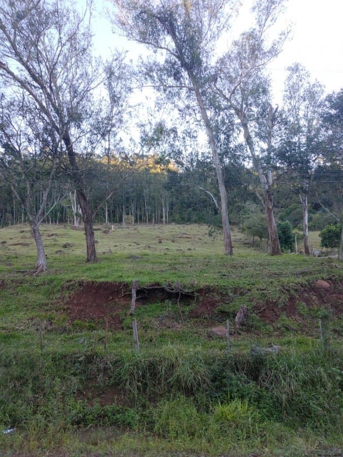 Sítio para Venda em Barra do Guaporé (Distrito) Encantado-RS