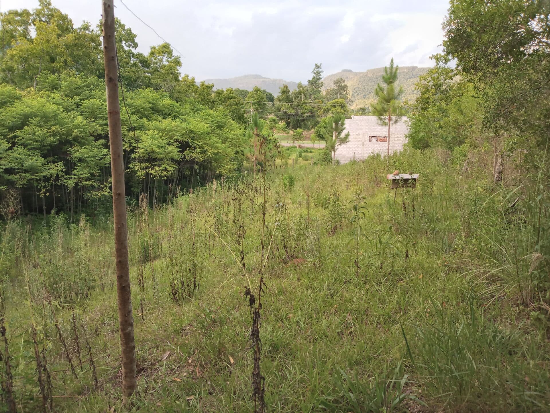 Àrea de Terrenos