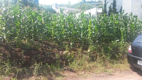 Terreno Residencial