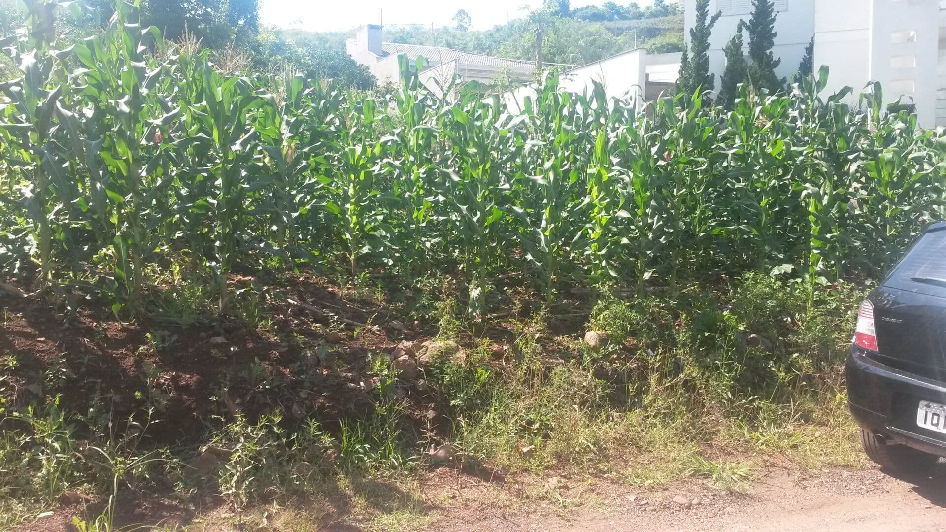Terreno Residencial