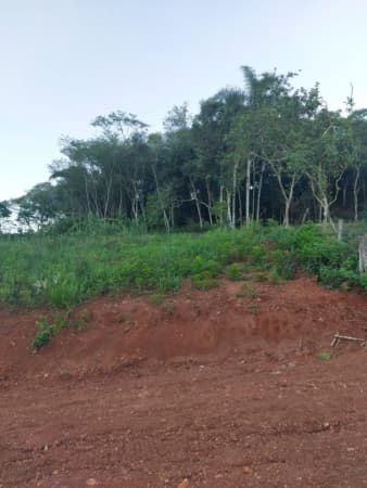 Terreno para Venda em Lambari Encantado-RS