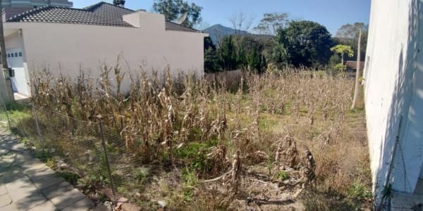 Terreno para Venda em Centro Encantado-RS