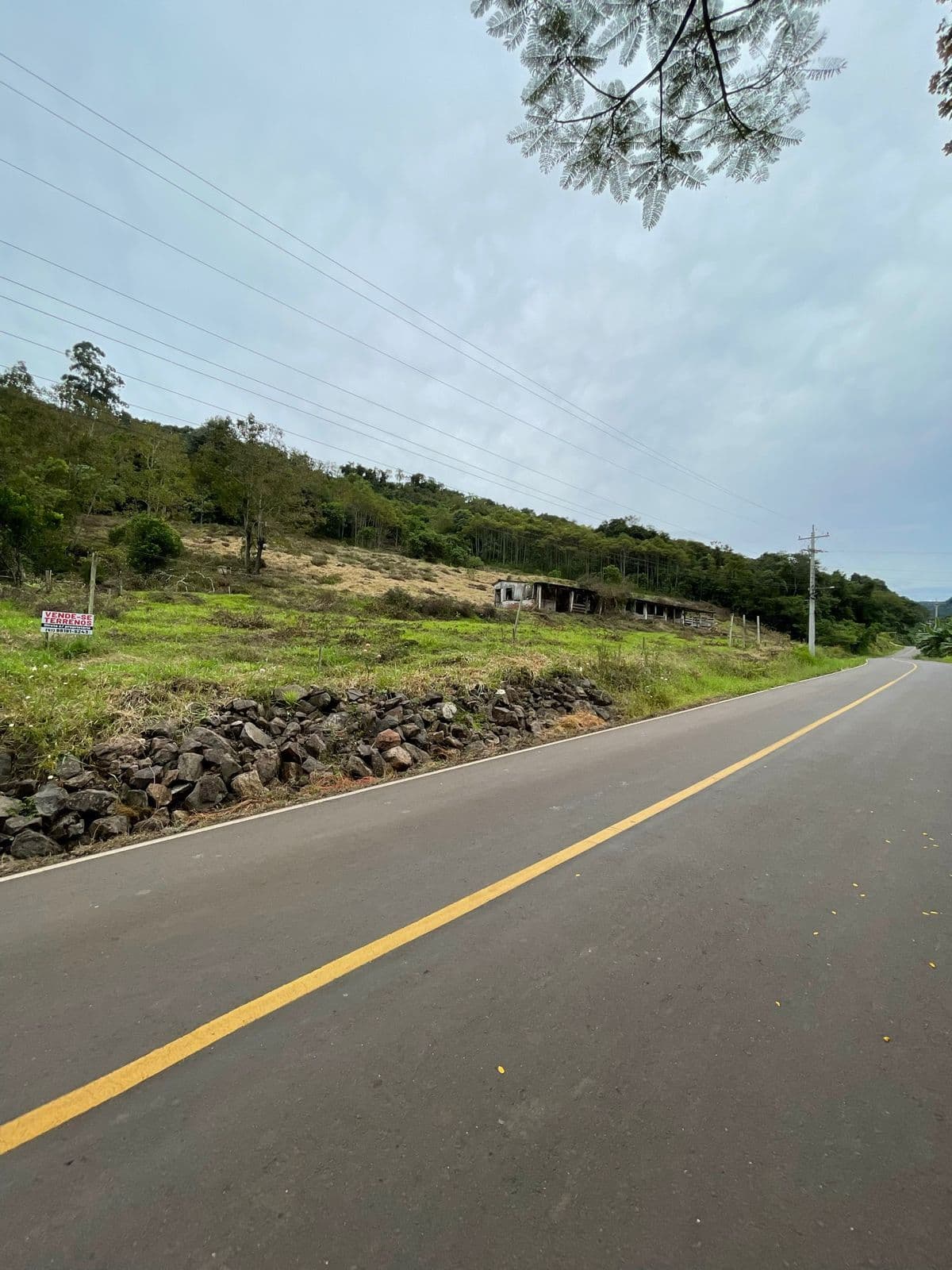 Fazenda/Sítios/Chácaras em Encantado - Palmas