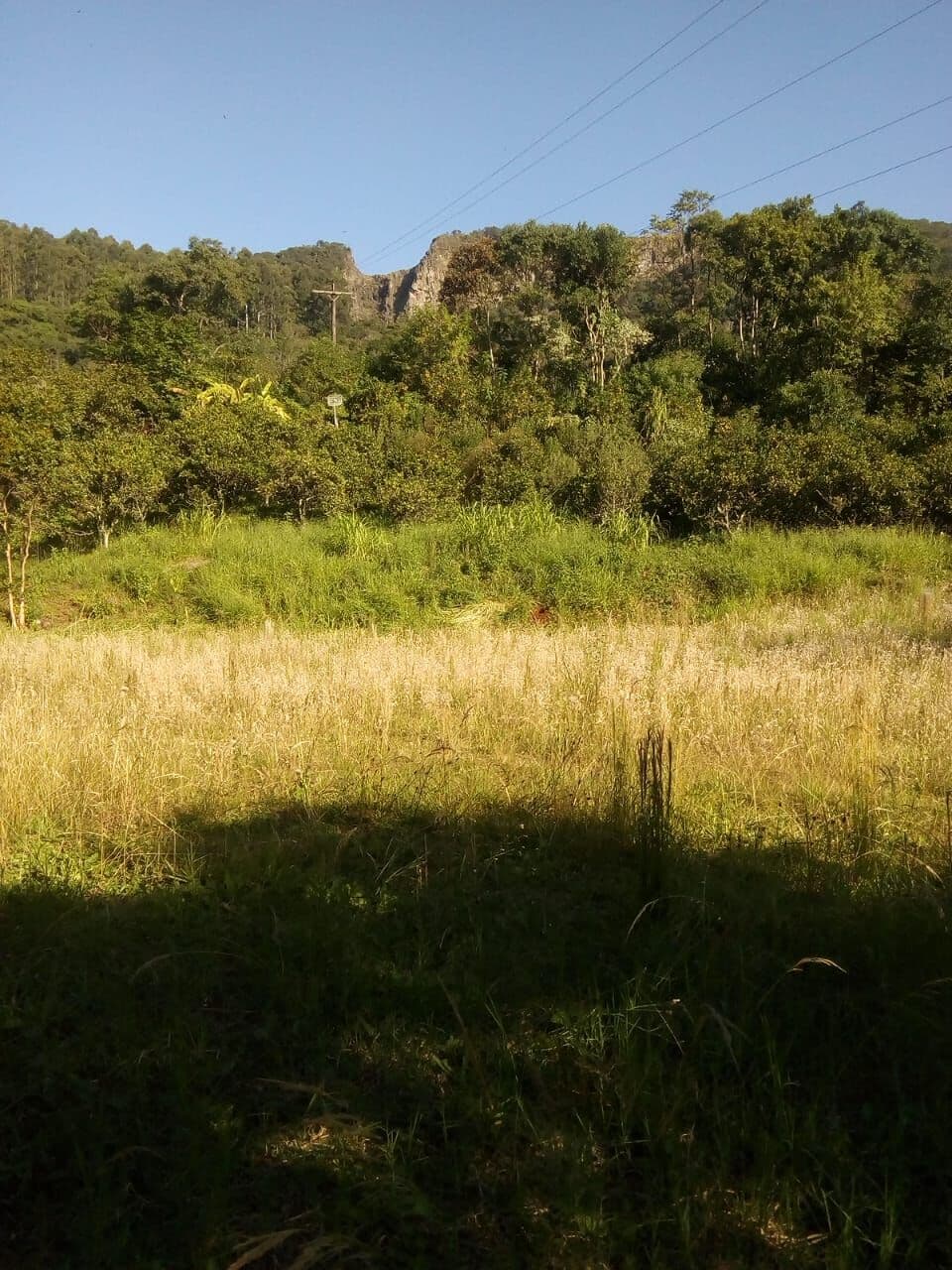 Fazenda/Sítios/Chácaras em Arroio do Meio - Linha Palmas (Distrito)