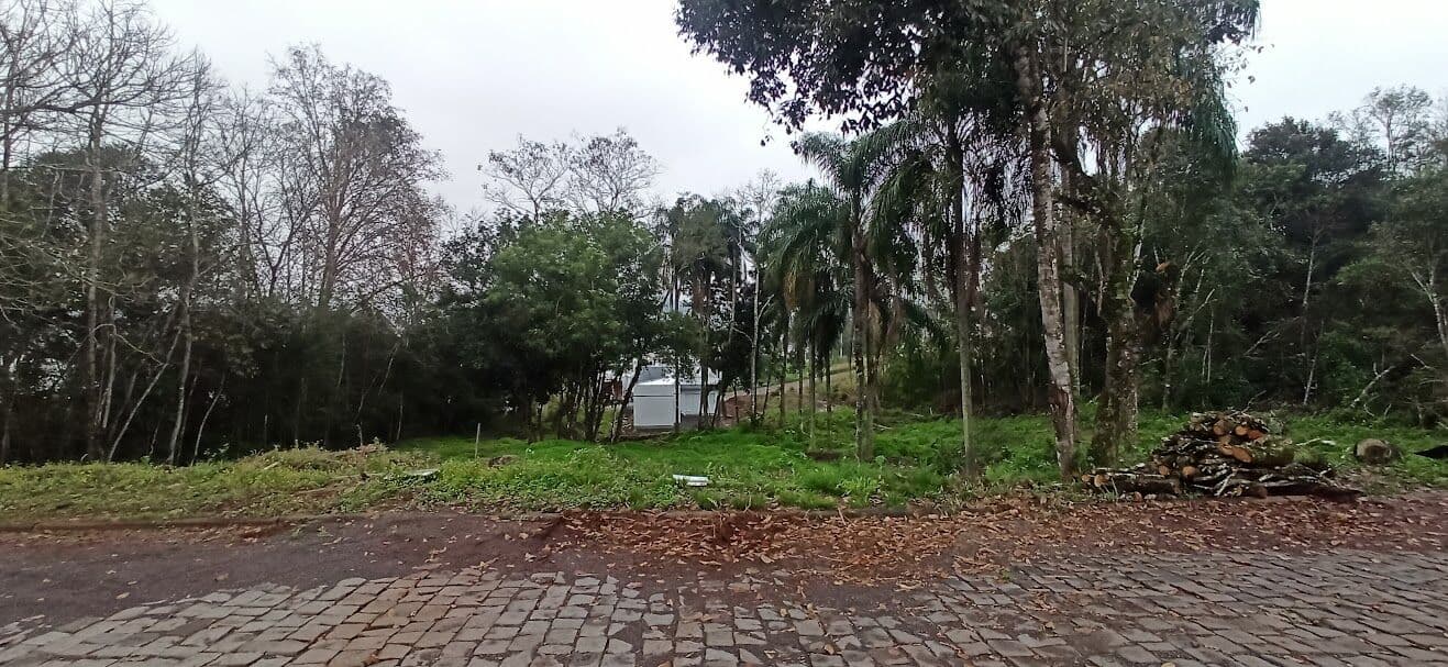 Lote/Terreno em Encantado - Santo Antão
