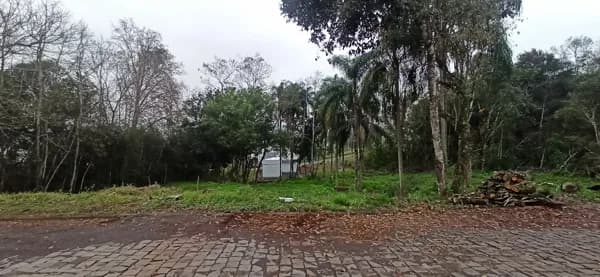 Lote/Terreno em Encantado - Santo Antão