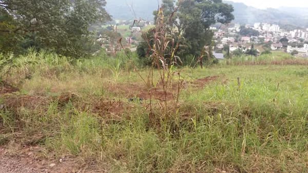 Lote/Terreno em Encantado - Porto Quinze