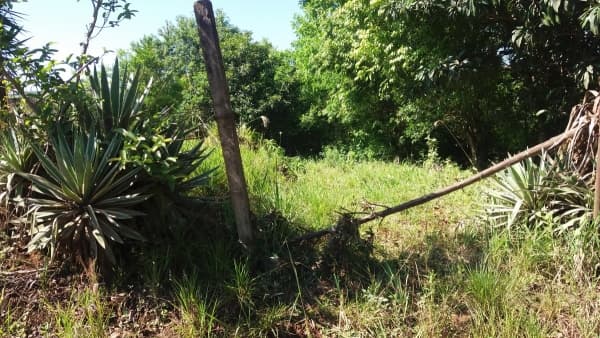 Terreno para Venda em Barra do Jacaré Encantado-RS