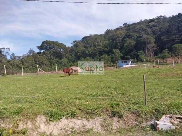 Área Rural Juquitiba/SP