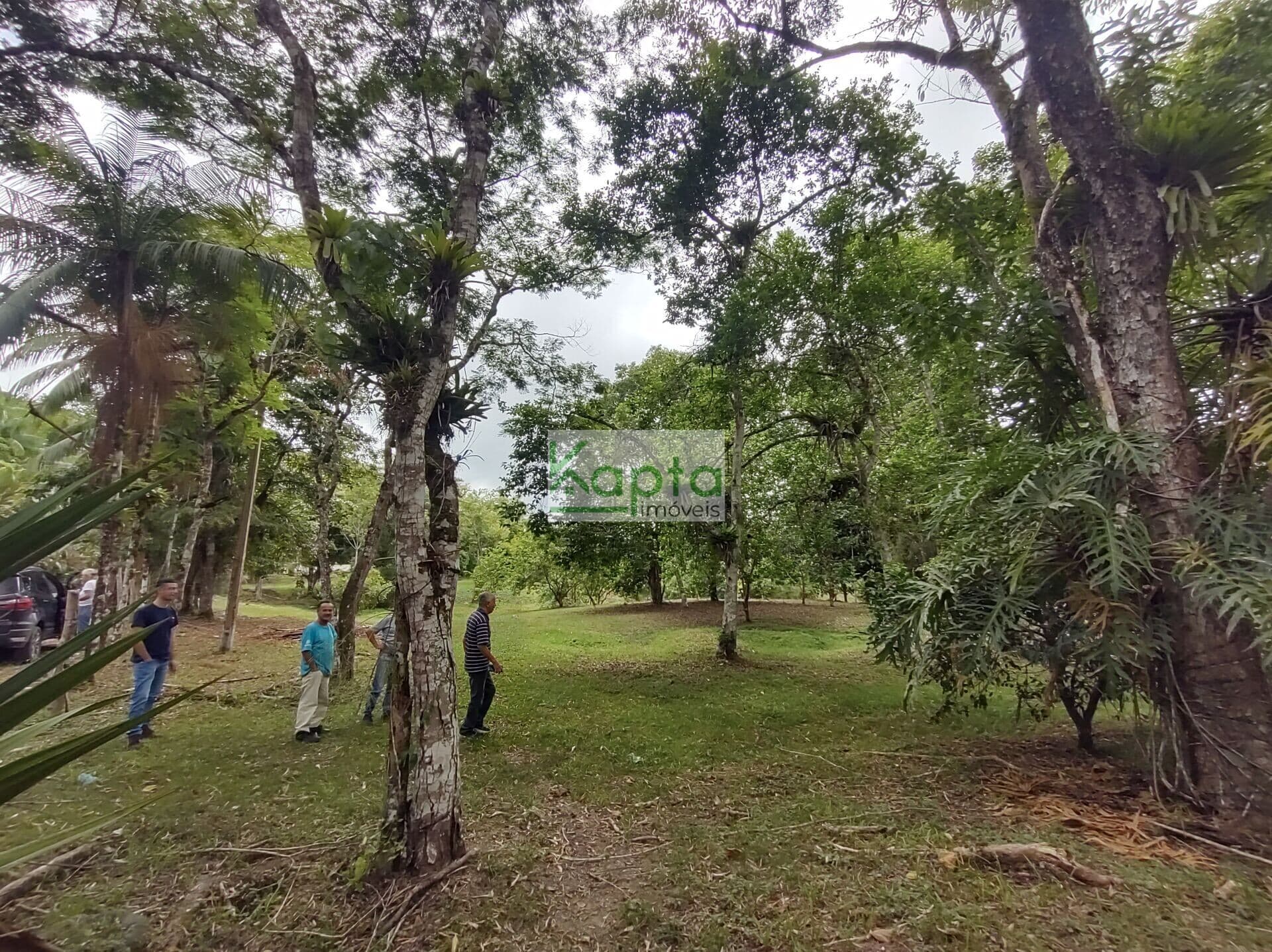 Sitio, Miracatu- SP