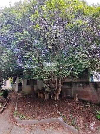 Terreno Ayrosa – Osasco/SP