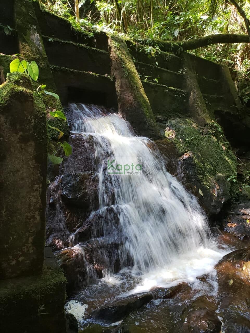 Sítio Juquitiba/SP