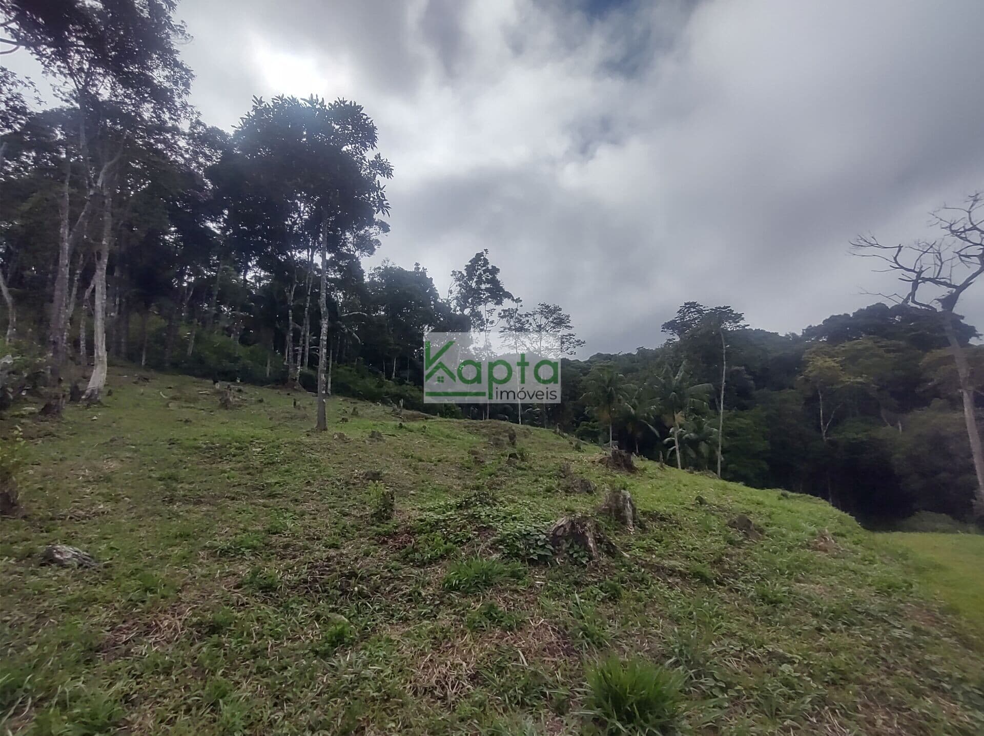 Terreno Lote, Barnabes~sp