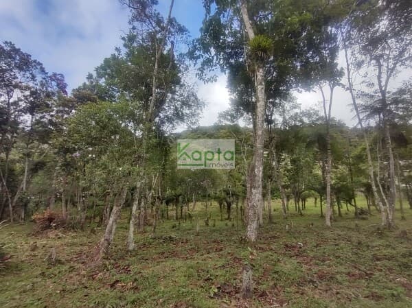Terreno Lote, Barnabes~sp