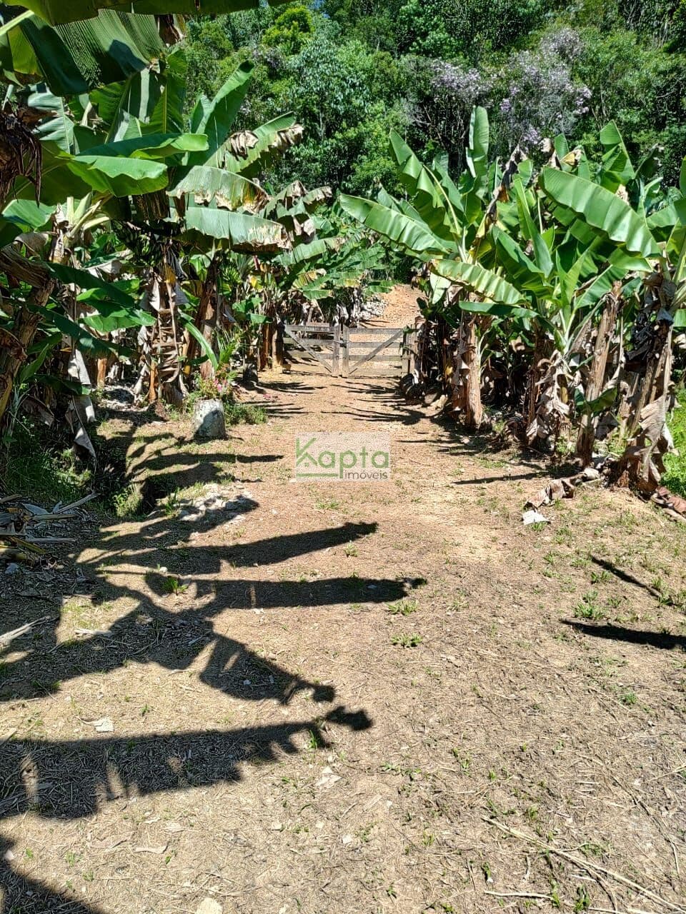 Sítio Miracatu-SP