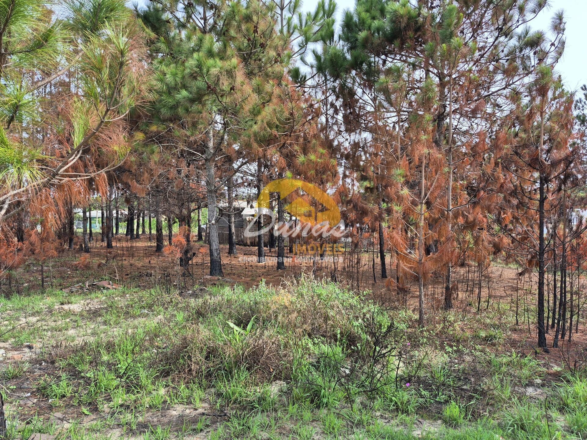TERRENO PARA INVESTIMENTO EM NOVA TRAMANDAÍ